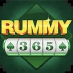 Rummy 365 Apk